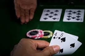 Dragon Tiger card game in Dream Gaming live studio